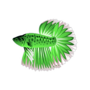 Jade Spring Betta